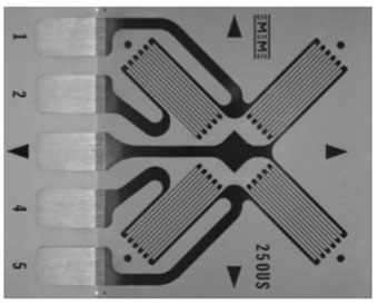 應(yīng)變計結(jié)構(gòu)